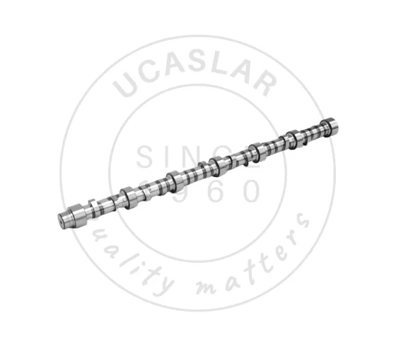1007408 CAMSHAFT AS.