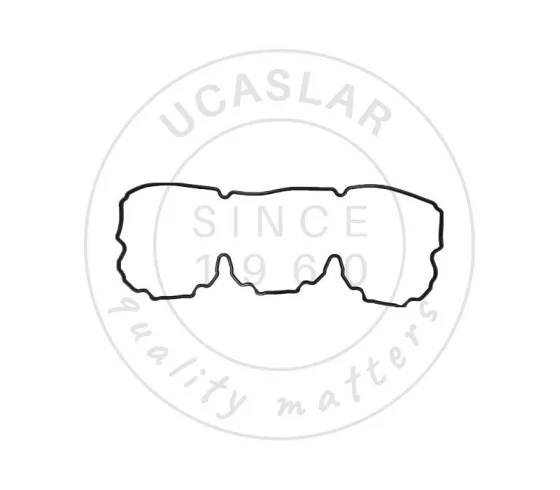 1095309 GASKET