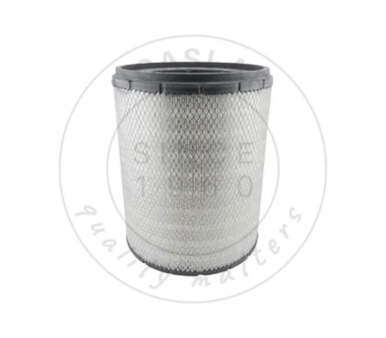 2P5080 AIR CLEANER