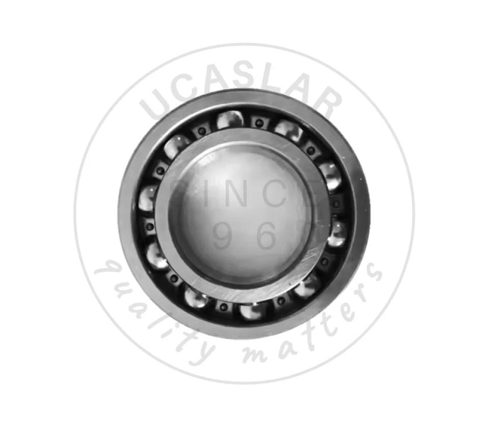 06042-00212 BEARING ROLLER