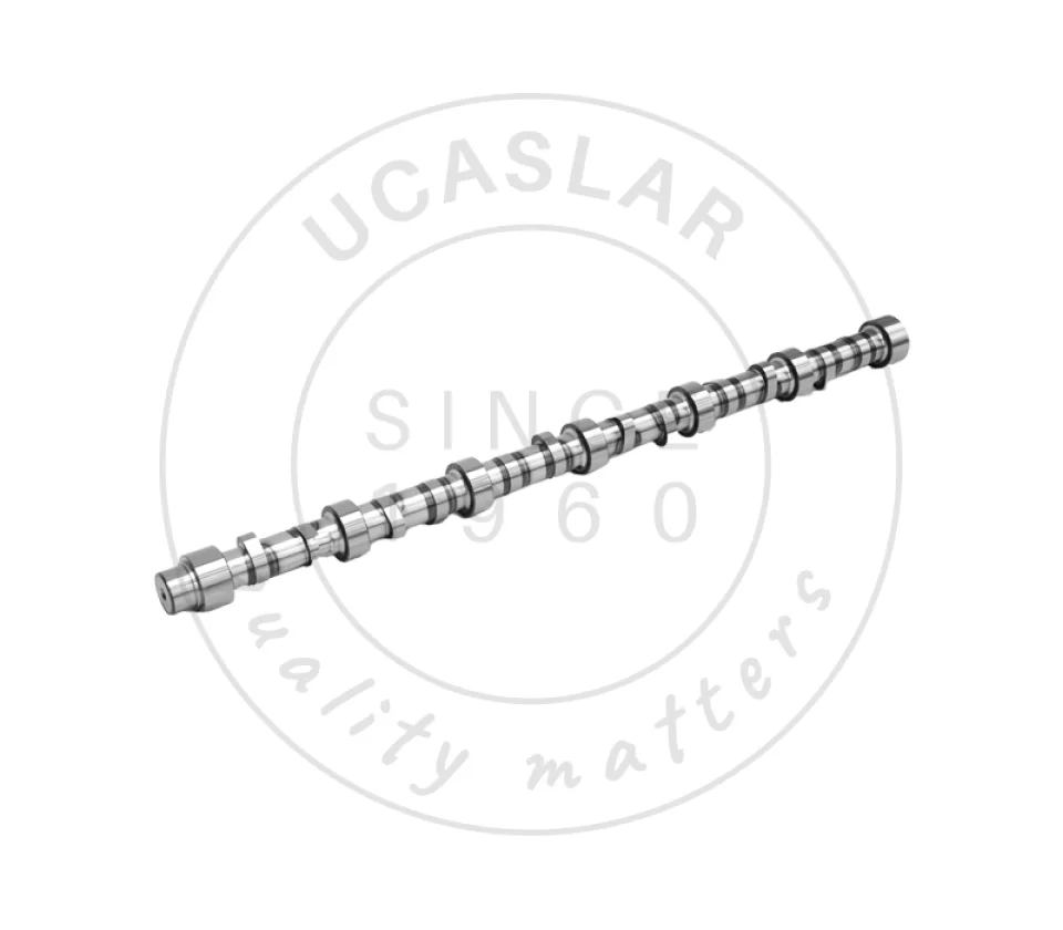 1007408 CAMSHAFT AS.