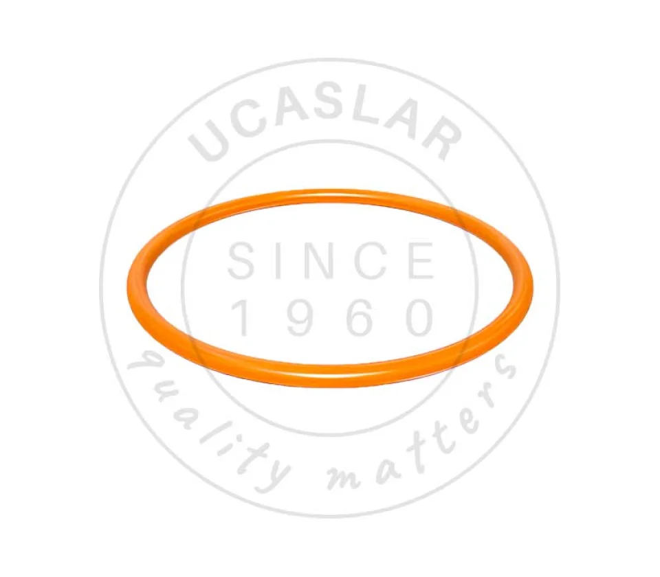 1090077 SEAL - RING