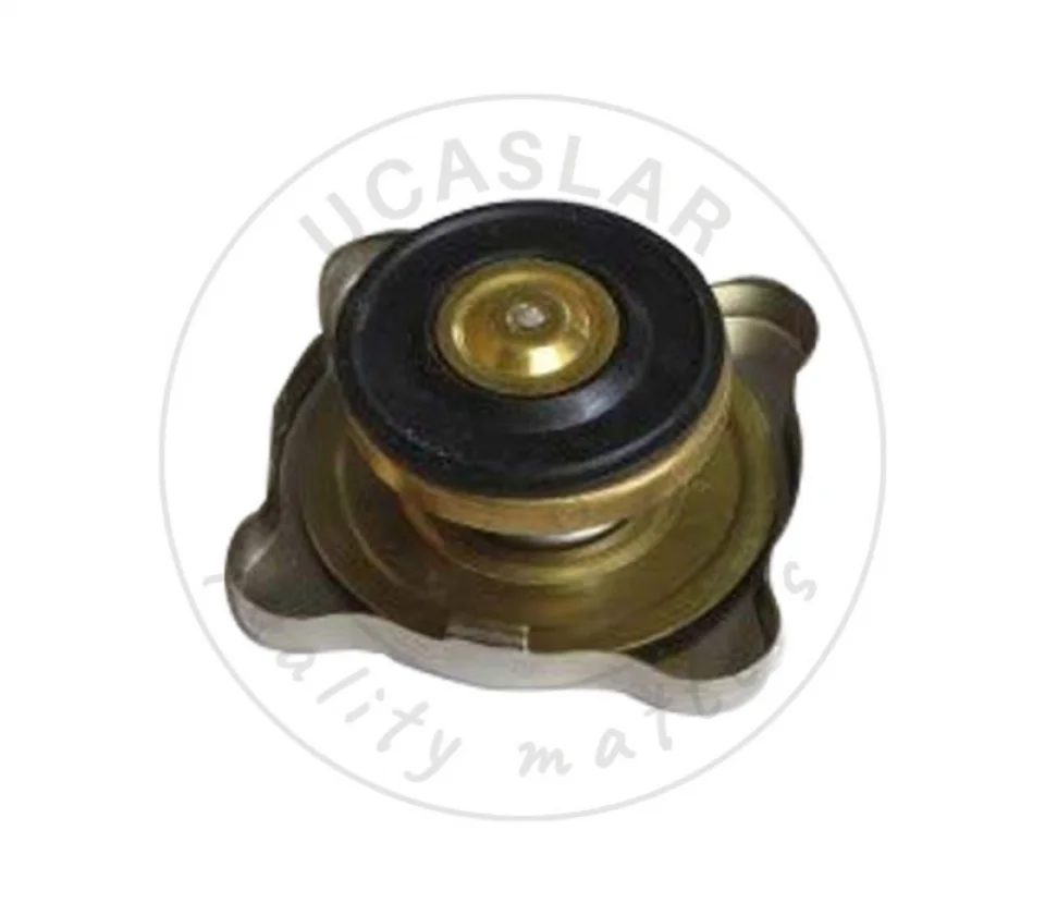 6L8617 CAP